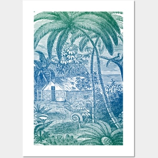 Tropical Vintage Illustration Palm Trees Beach Botanical Posters and Art